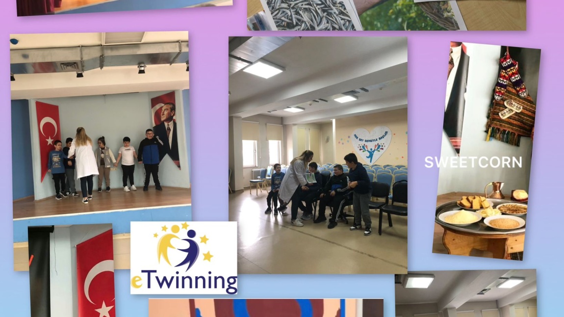 Haftanın E -twinning Çalışması Katılım Haftası:)